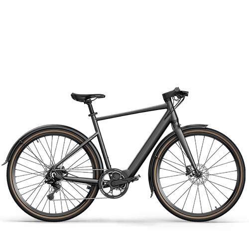 Fiido C21 bicicleta eléctrica