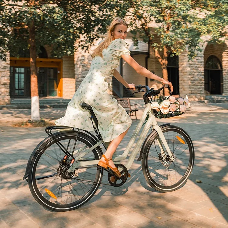 Fiido C700 Lifestyle Solo