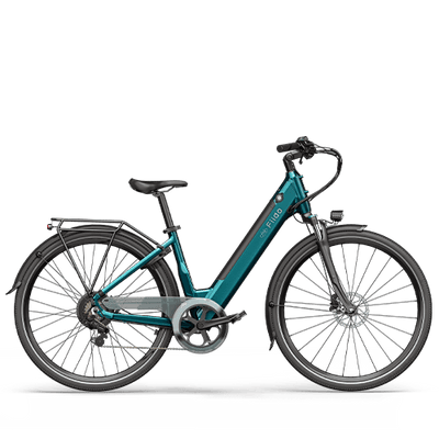 Fiido C11 bicicleta eléctrica