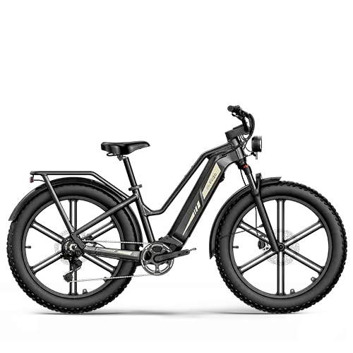 Fiido Titán bicicleta eléctrica