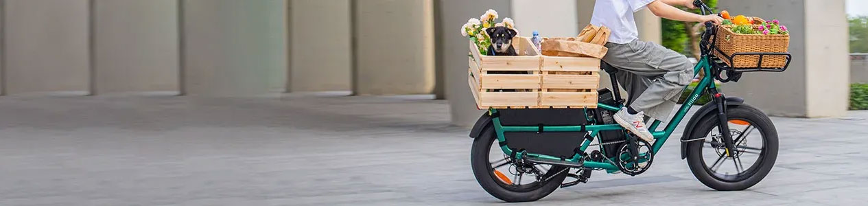 Bicicletas Eléctricas Fiido