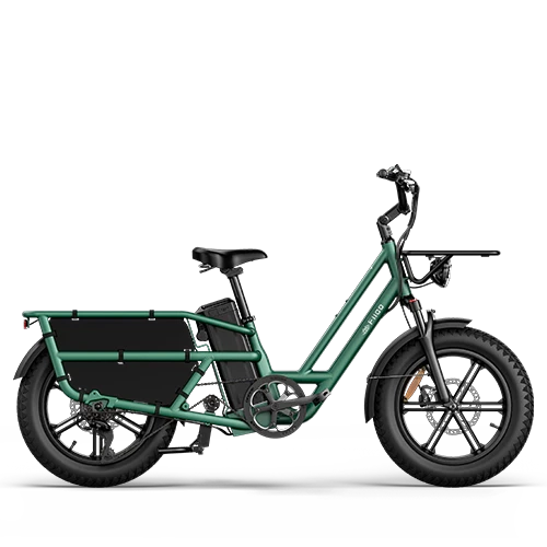 Fiido T2 bicicleta eléctrica